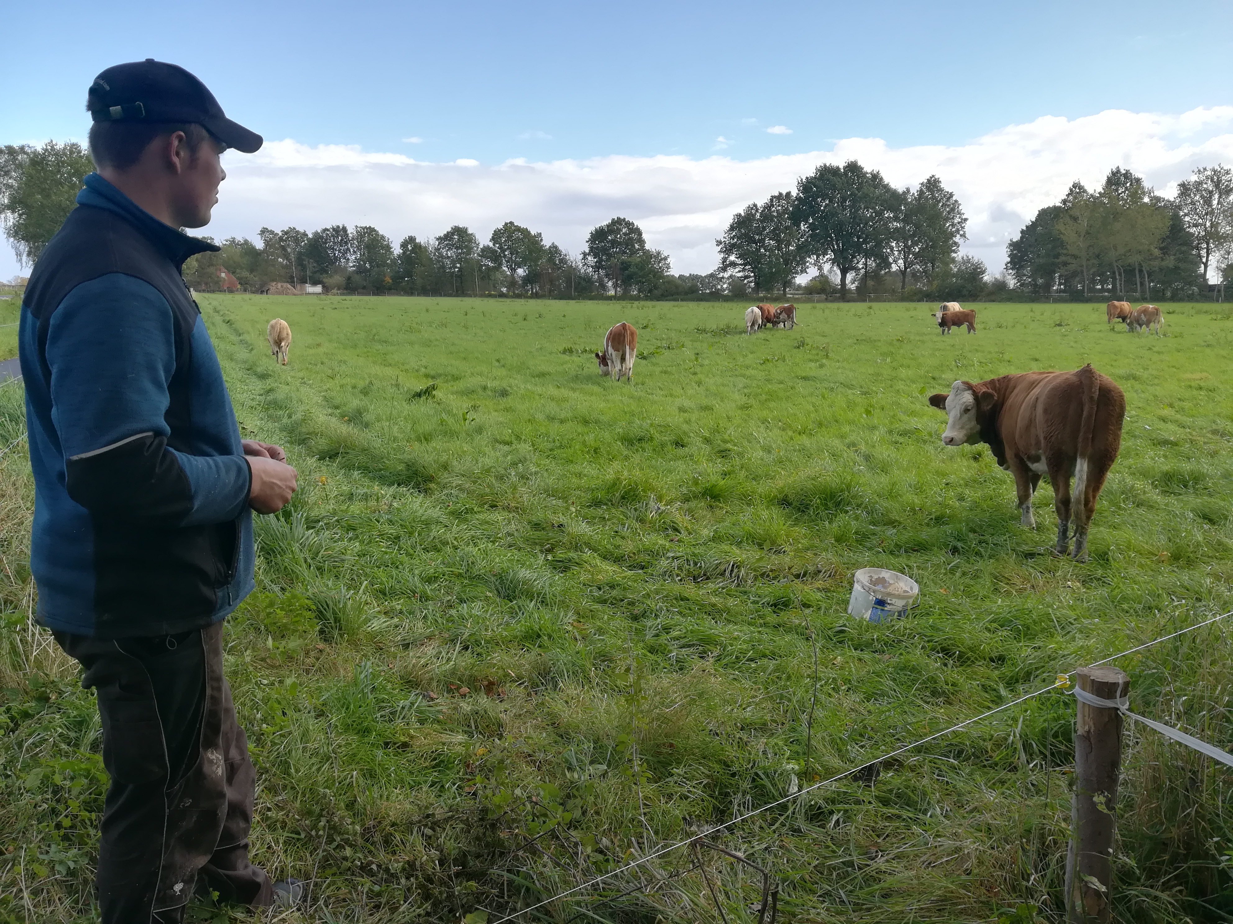Jens und die Mutterkuhherde